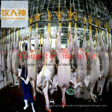 Meat Processing Machine in Poultry Farming House with Prefab House Design and Construction